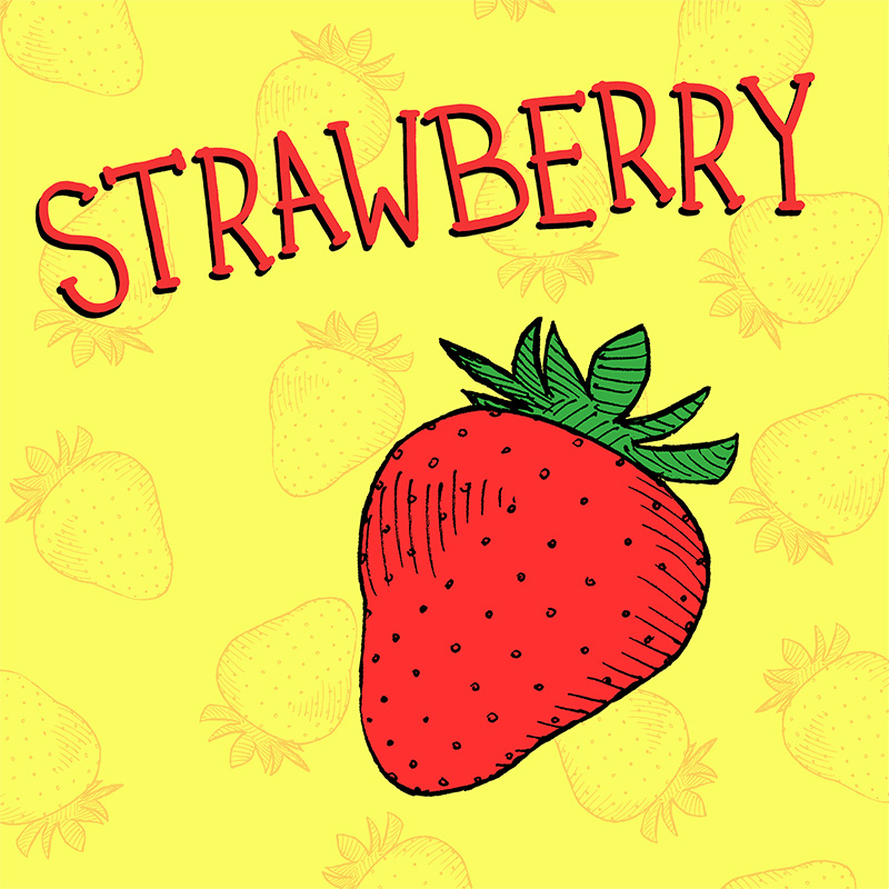 strawberry handdrawn fruit illustration