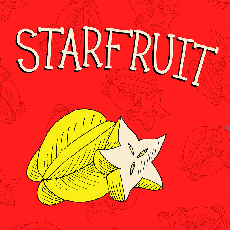 starfruit hand drawn fruit illustration